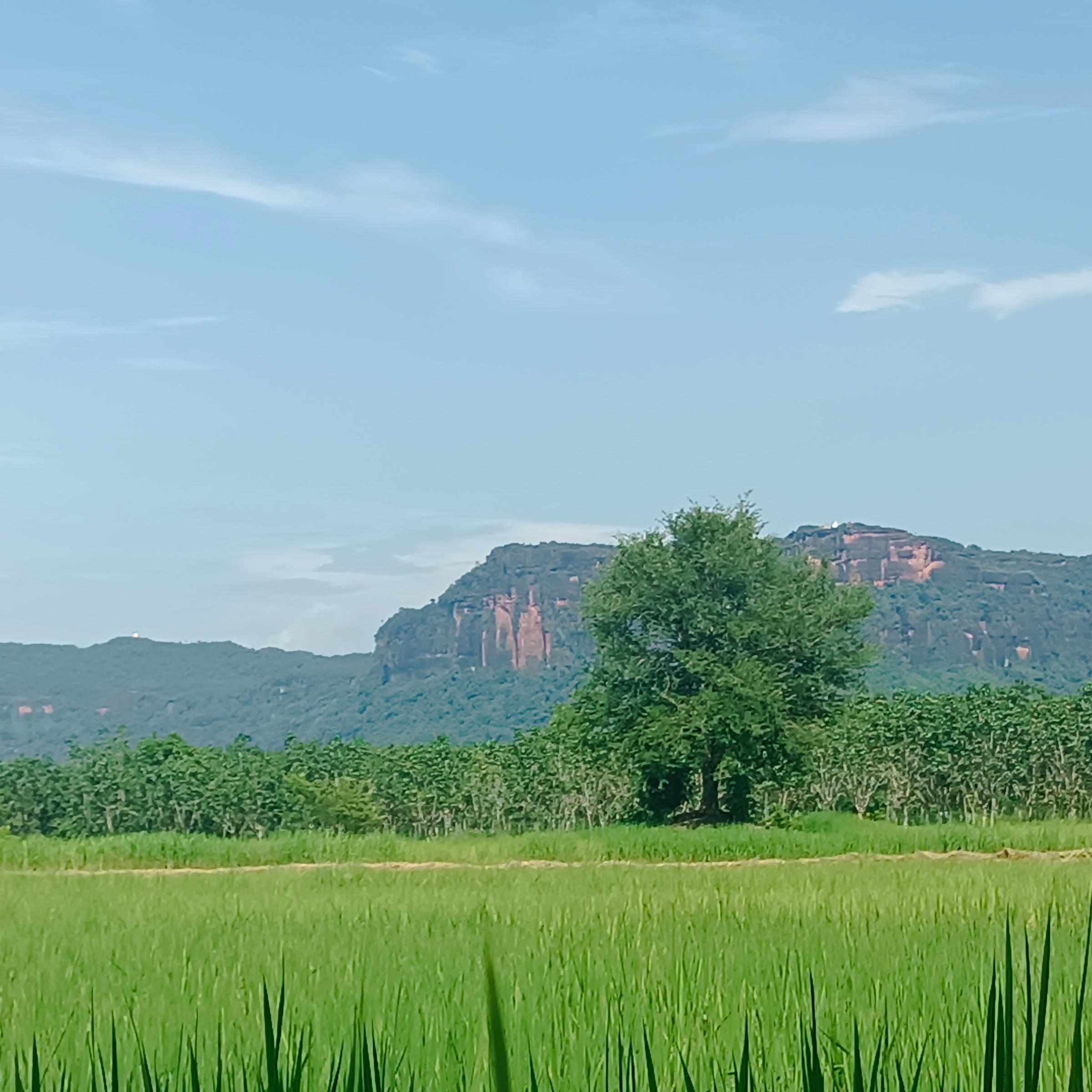 ยุทธนา มูลสุวรรณ