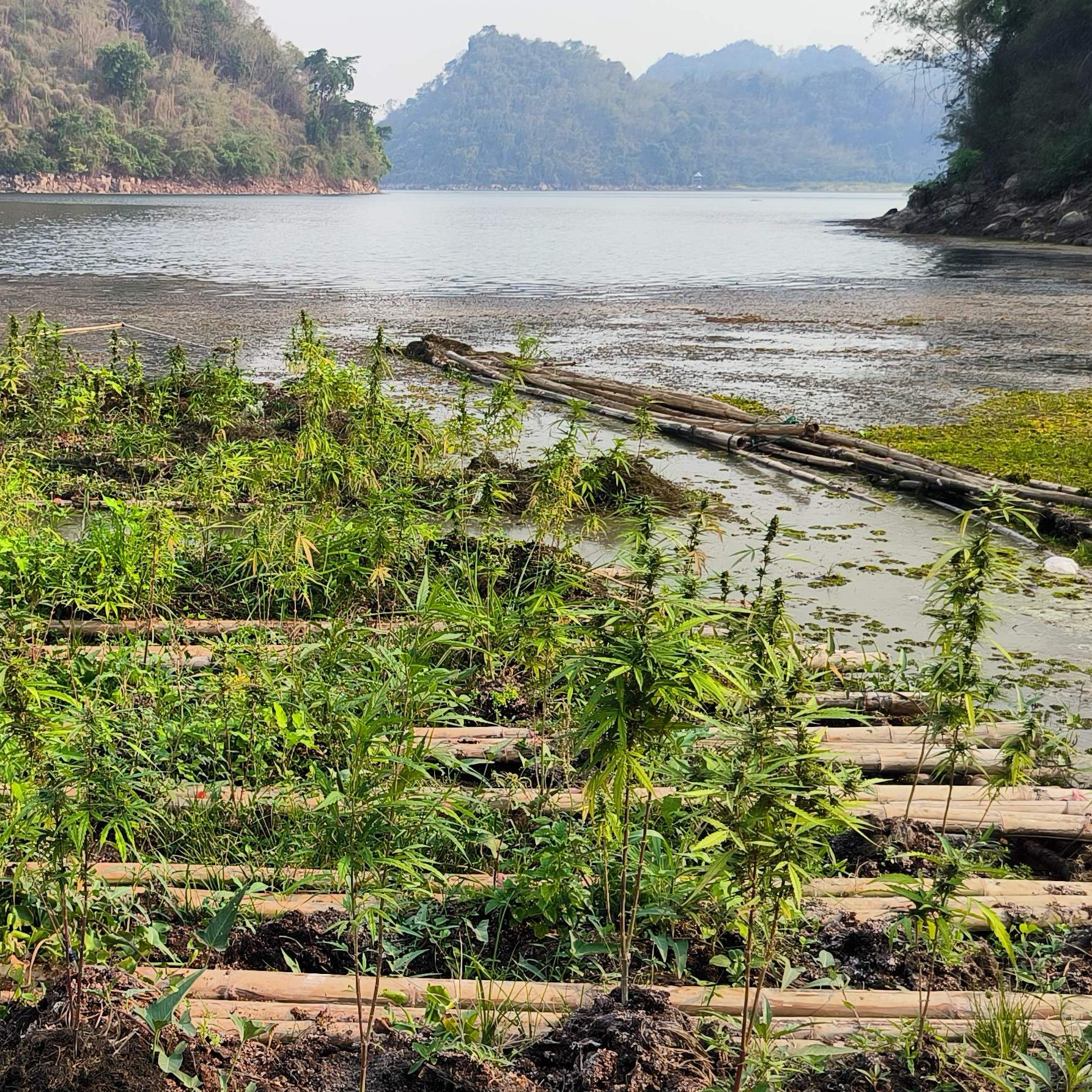 Nature aquaponic farmer 