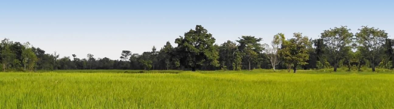 Banrai Nasok Mukdahan