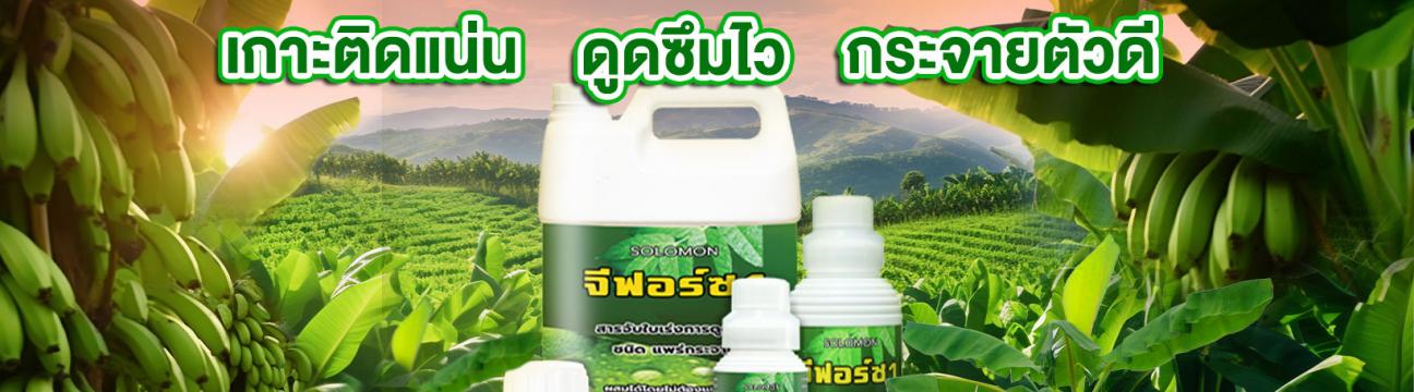 สินค้าเกษตร ราคาโรงงาน