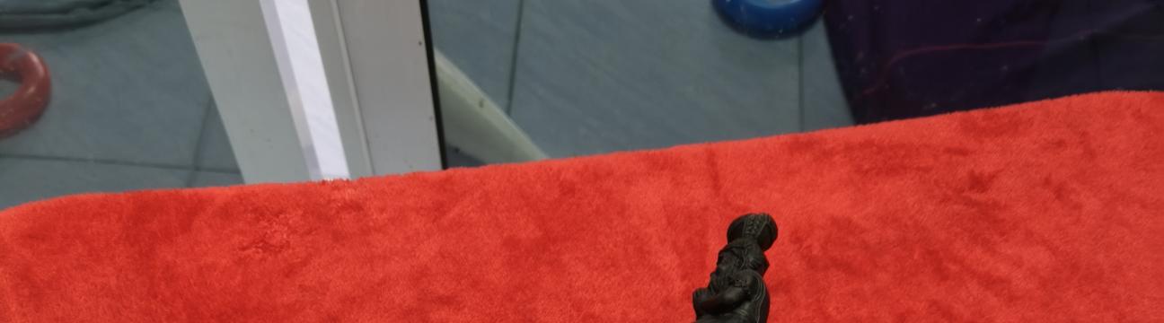 ช่างภัทร มีดเดือยไก่